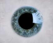 Primer plano del iris del ojo azul y el marco completo de la pupila - foto de stock