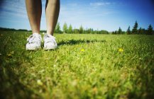Ноги с кроссовками в траве — стоковое фото