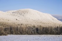 Campo e colina cobertos de neve — Fotografia de Stock