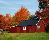 Casa de azúcar con árboles de otoño - foto de stock