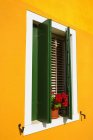Вид барвистого будинку з квітами — стокове фото
