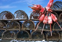 Armadilhas e bóias de lagosta — Fotografia de Stock