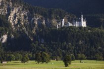 Castillo bávaro en el lado de la montaña - foto de stock