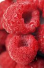 Framboesas vermelhas frescas — Fotografia de Stock