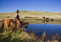 Cowboy ao lado da água — Fotografia de Stock