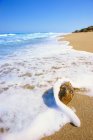 Shoreline with rolling wave — Stock Photo