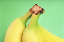 Закрыть банановые стебли — стоковое фото