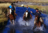 Cowboys On Horseback Racing — Stock Photo