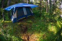Tienda de campaña Camping en bosque - foto de stock