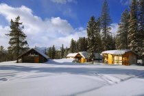 Cabins In British Columbia — Stock Photo