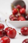 Fresh Cherries in plate — Stock Photo