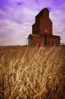 Зерновой лифт на поле — стоковое фото