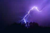 Blitzschlag über Bäume — Stockfoto