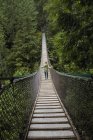 Lynn Canyon Suspension Bridge North Vancouver, Colúmbia Britânica, Canadá — Fotografia de Stock