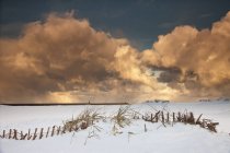 Иллюминированные облака покидают поле — стоковое фото