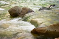 Rauschendes Wasser des Flusses — Stockfoto