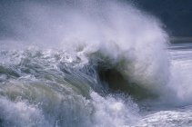 Ondas ondulantes del océano - foto de stock