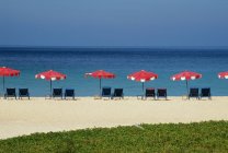 Umbrellas And Chairs On Beach — Stock Photo