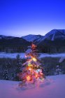 Árvore de Natal ao ar livre — Fotografia de Stock