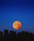 Luna naranja en el cielo oscuro - foto de stock