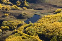 Goldene Herbstfarben in sanften Hügeln — Stockfoto