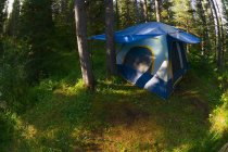 Палаточный лагерь в зеленом лесу — стоковое фото