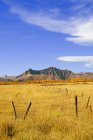 Fence Line And Mountain In Fall — Stock Photo