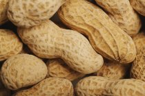 Cacahuètes dans leur coquille — Photo de stock
