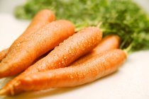Manojo de zanahorias frescas - foto de stock