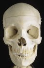 Frontal view of human skull on black background — Stock Photo