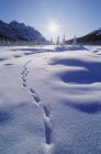 Impronte sulla neve sul pendio — Foto stock