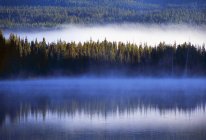 Туман, відображені в озеро Трілліум — стокове фото