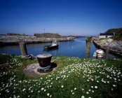 View of Ballintoy Harbour — Stock Photo