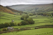 Terres agricoles dans la vallée, Yorkshire Dales — Photo de stock