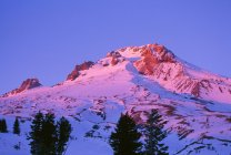 Alpenglow на Mount Hood — стокове фото