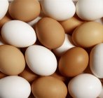 Білі і коричневі яйця — стокове фото