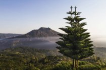 Панорамный вид на гору Батур из Кинтамани, Бали, Индонезия — стоковое фото