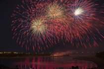 Visualizzazione colorata dei fuochi d'artificio — Foto stock