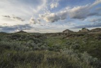 Grasslands at Dinosaur Provincial Park — Stock Photo