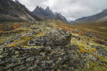 Tombstone Valley in autumn colours — Stock Photo