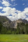 Cascate di Yosemite e prato — Foto stock