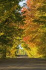 Strada di campagna in autunno — Foto stock