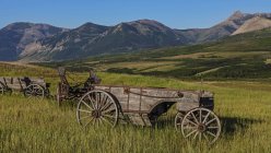Old wagons in fields in foothills — Stock Photo