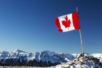 Bandera canadiense soplando - foto de stock