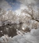 Paesaggio invernale meraviglie — Foto stock
