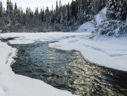Superficie boschiva in inverno — Foto stock