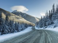 Strada ghiacciata attraverso le Montagne Rocciose — Foto stock