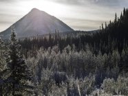 Montanha de pico sob a luz solar — Fotografia de Stock