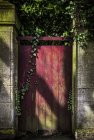 Gate covered in ivy — Stock Photo