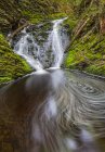 Wasserfall und Pool im Wald — Stockfoto